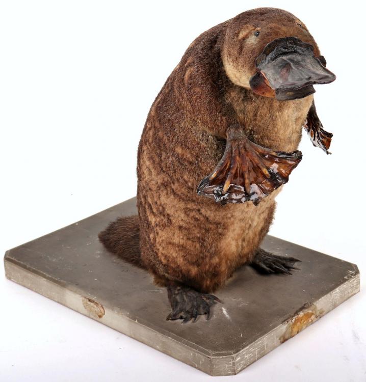 Sold for £1,850